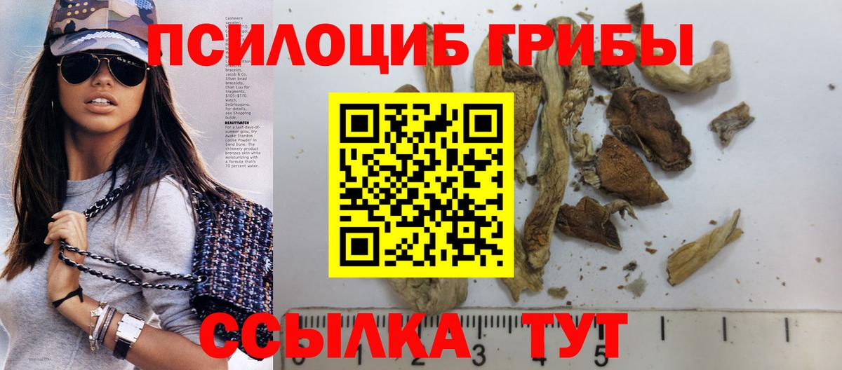 Псилоцибиновые грибы мухоморы Ступино
